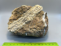 A brown, altered piece of vescicular basalt with a thick veien of mixed layers of calcite and quartz cutting across it